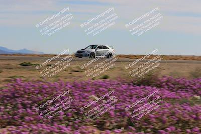 media/Jan-08-2023-SCCA SD (Sun) [[8f6a5b9391]]/Intermediate Group/Session 2 (Short Straight)/